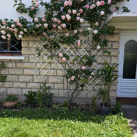 Cosy With Access To Garden, Parking And Direct Line To Eiffel Tower * Saint-Gratien (Val-d'Oise)